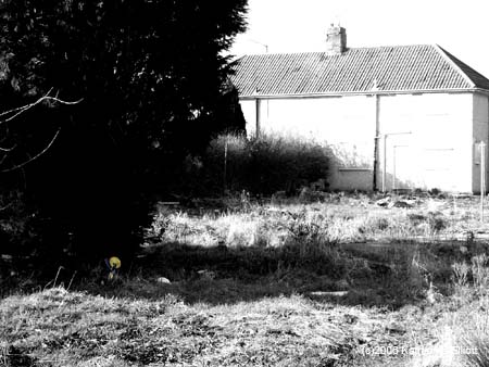 PICT0004