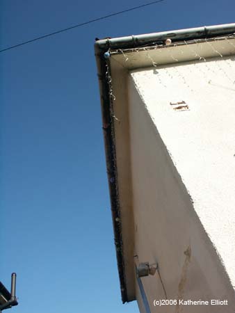 PICT0023